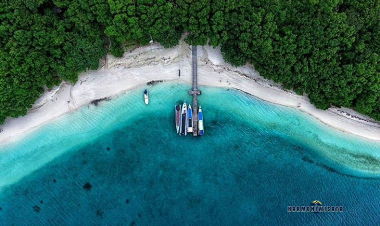 Harmoni Wisata Pulau Peucang – Banten (Ujung Kulon)