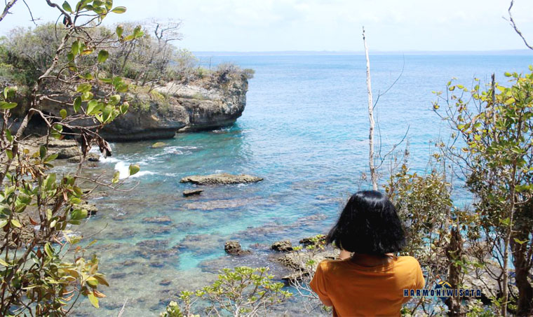 Harmoni Wisata Pulau Peucang – Banten (Ujung Kulon)