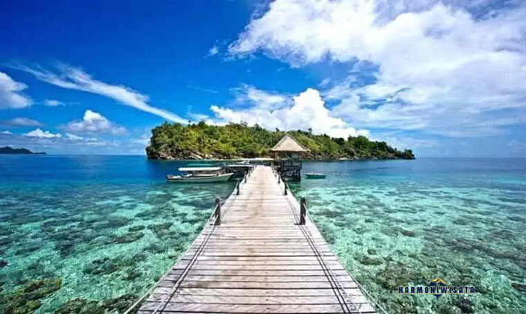 Harmoni Wisata Teluk Cenderawasih