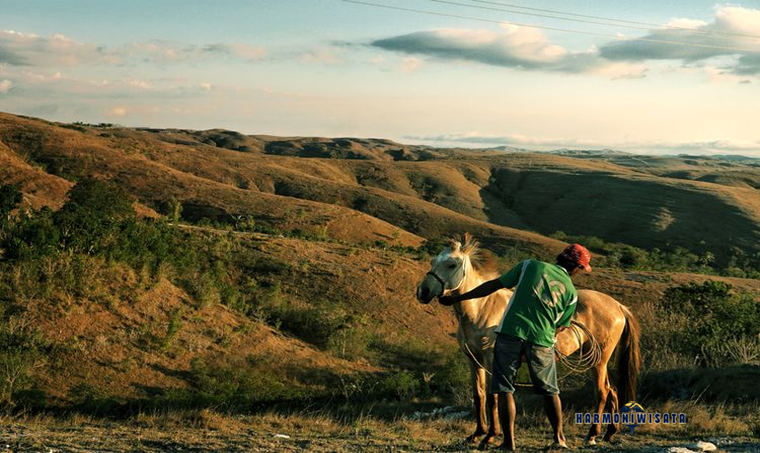 Bukit Wairinding Sumba: Pesona Savana Bergelombang di Sumba Timur