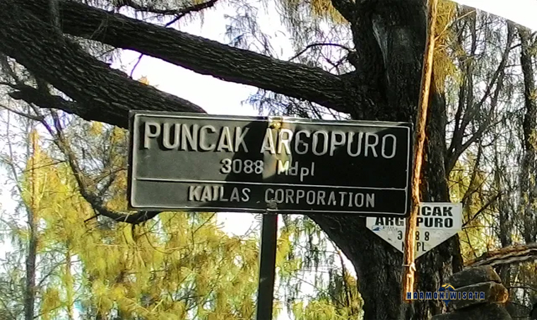 Gunung Argopuro via Bremi: Jalur, Savana Cikasur & Tips Pendakian