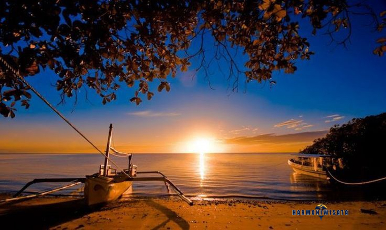 Pantai Bama Baluran: Daya Tarik, Lokasi, dan Tips Berkunjung