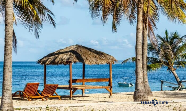 Pantai Nemberala Rote: Spot Lokal Surfing & Pantai Alami di NTT