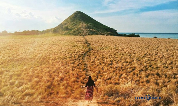 Pulau Kenawa Sumbawa Barat: Pesona Savana dan Laut Biru yang Masih Sepi