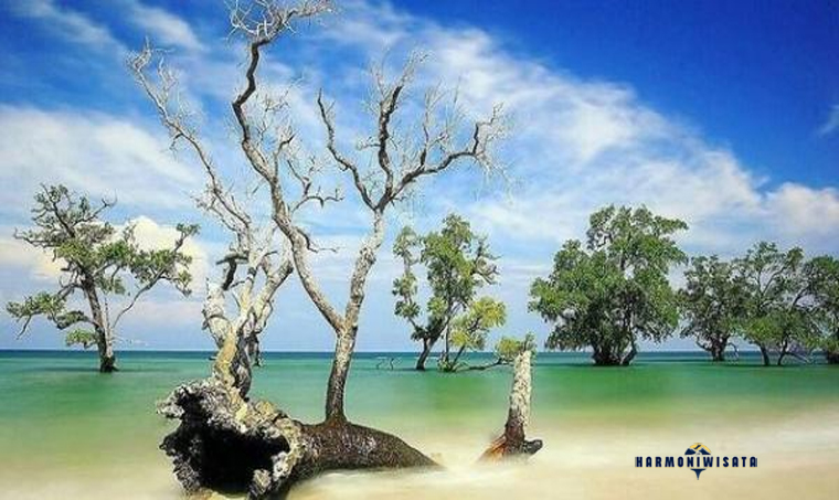 Harmoni Wisata Pantai Lhok Mee Sisi Ujung – Aceh