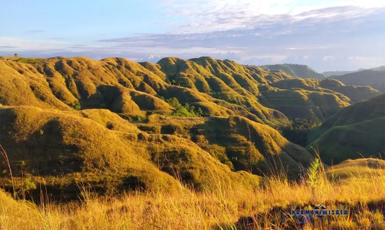 Harmoni WIsata Bukit Larata, Sumba — Savana luas cantik