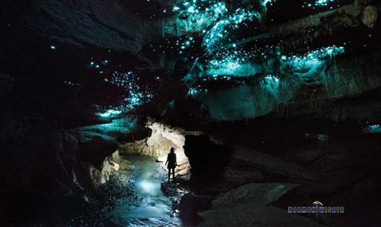 Harmoni Wisata Gua Waitomo Glowworm, Selandia Baru