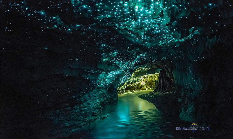 Waitomo Glowworm Caves Selandia Baru: Wisata Gua Bercahaya Paling Unik
