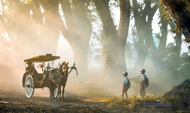 Hutan De Djawatan Banyuwangi: Wisata Hutan Trembesi Unik Ala Lord of the Rings