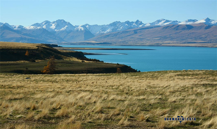 Harmoni Wisata Lake Tekapo — New Zealan