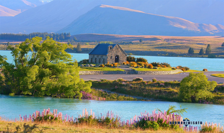 Lake Tekapo New Zealand: Padang Rumput Luas Seperti di Film