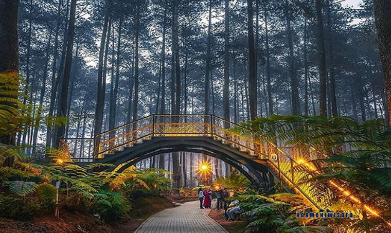 Harmoni Wisata Orchid Forest Cikole