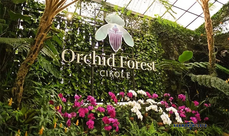 Orchid Forest Cikole Lembang: Harga Tiket & Daya Tarik Wisata