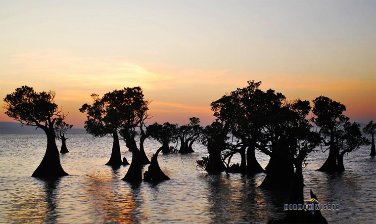 Harmoni Wisata Pantai Walakiri Sumba Timur