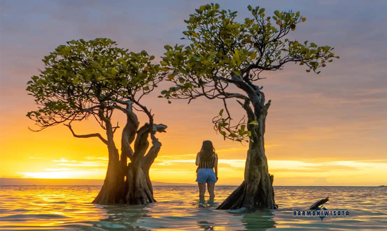 Harmoni Wisata Pantai Walakiri Sumba Timur