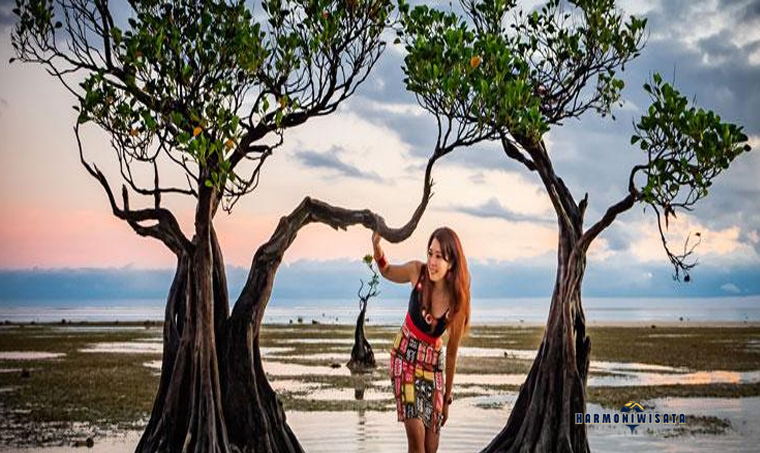 Pantai Walakiri Sumba Timur: Surga Sunset dengan Pohon Bakau Unik
