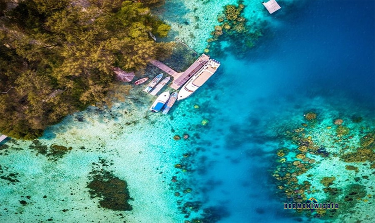 Pulau Macan Kepulauan Seribu: Hidden Paradise Dekat Jakarta yang Masih Sepi