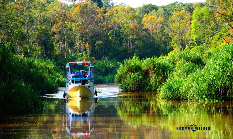 Harmoni Wisata Tanjung Puting, Kalimantan Tengah