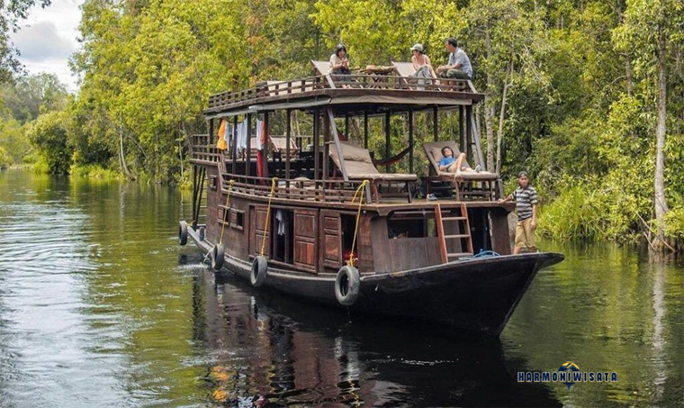 Tanjung Puting Kalimantan Tengah: Wisata Orangutan & Klotok di Hutan Tropis