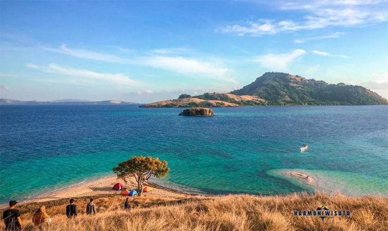 Teluk Saleh Sumbawa: Spot Rahasia Wisata Laut Alami dan Hiu Paus