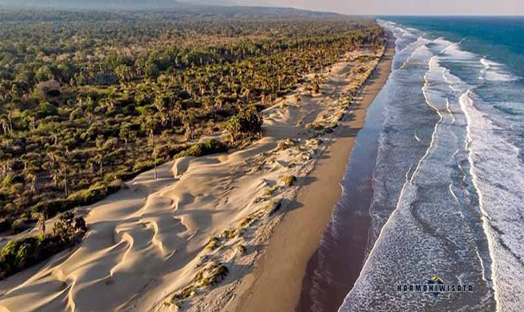 Harmoni Wisata Pantai Oetune