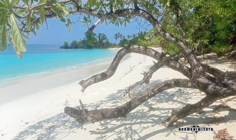 Harmoni Wisata Pantai Oyama Kaimana