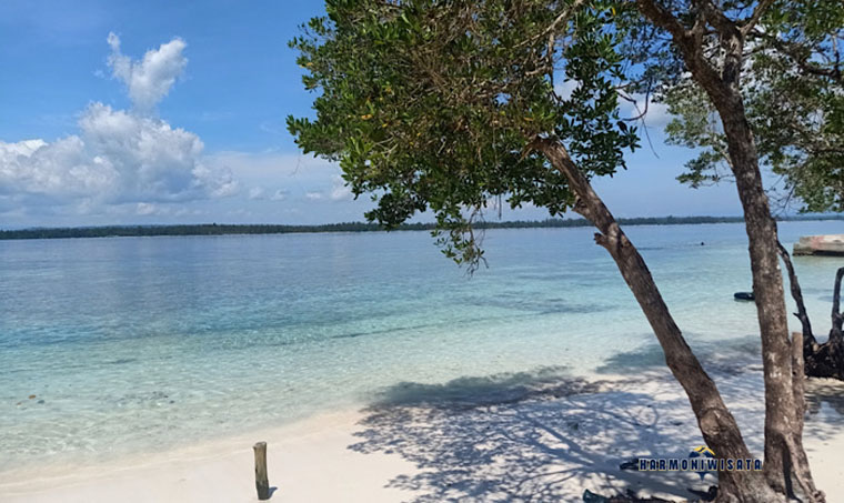 Pantai Oyama Kaimana, Hidden Gem Papua Barat dengan Laut Jernih