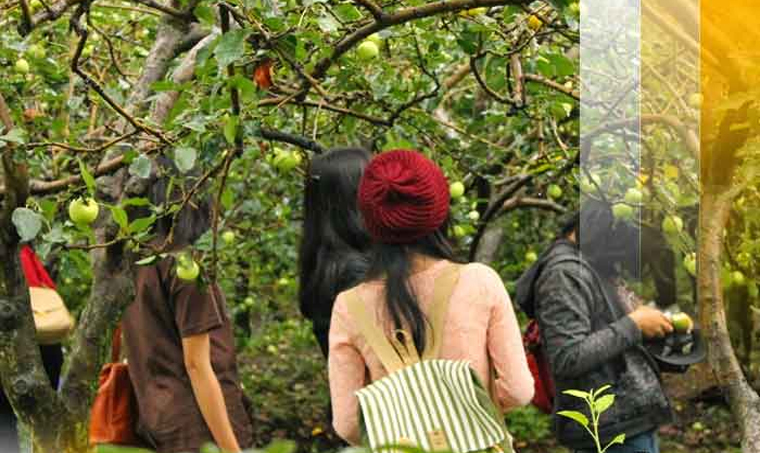 Harmoni Wisata Kebun Buah Mangunan